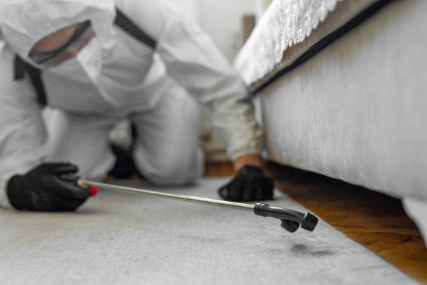Professional Cockroach Control technician working in Marfa, TX