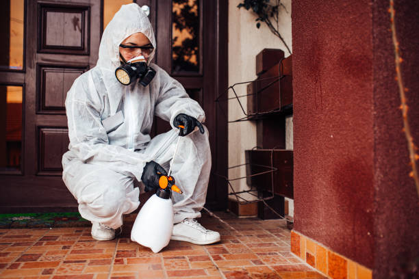 Reliable Cockroach Control contractor in Marfa, TX by Nex Pest Control